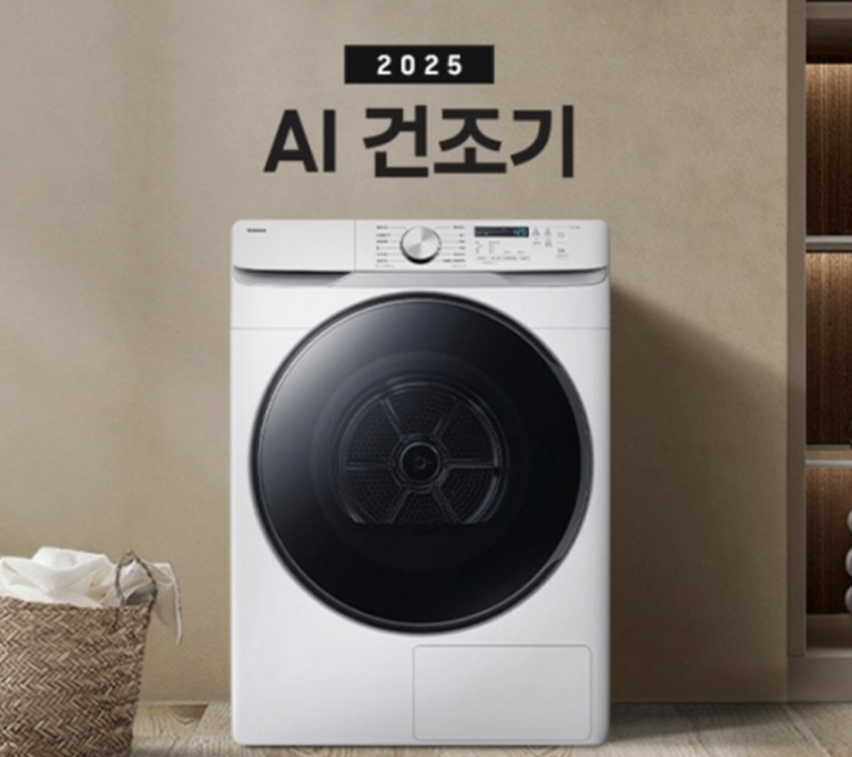 삼성 건조기 21kg DV21DG8200BW 1등급 사이즈 가격 및 AI 건조 장단점